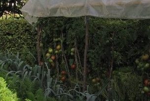 Potager