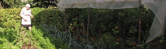 Potager